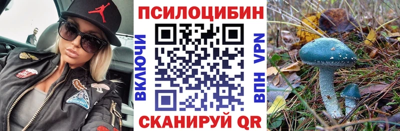 где купить наркоту  Боровичи  hydra tor  Галлюциногенные грибы Cubensis 